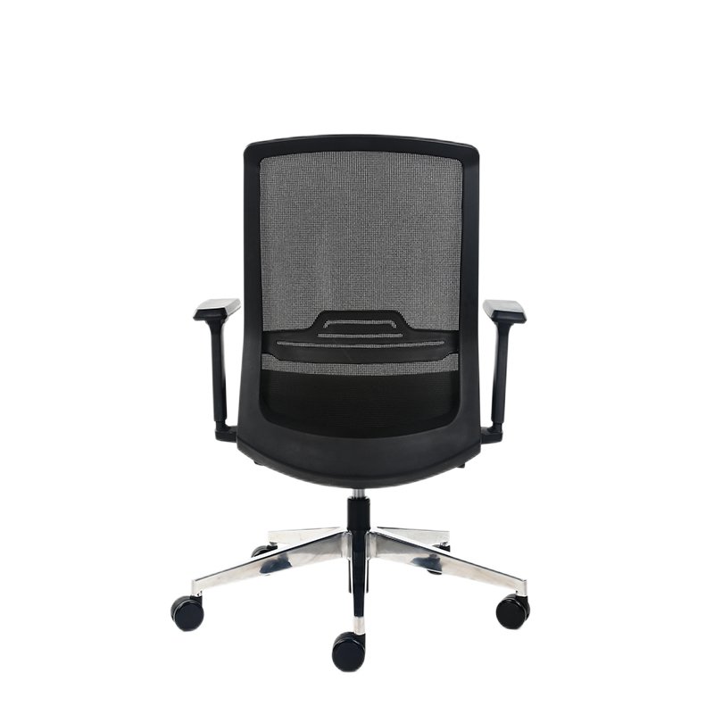 S02 Chair - Image 4